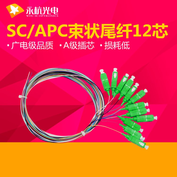 廠家直銷SC/APC束狀尾纖跳線0.9光纖跳線單模尾纖SC頭廣電級12芯