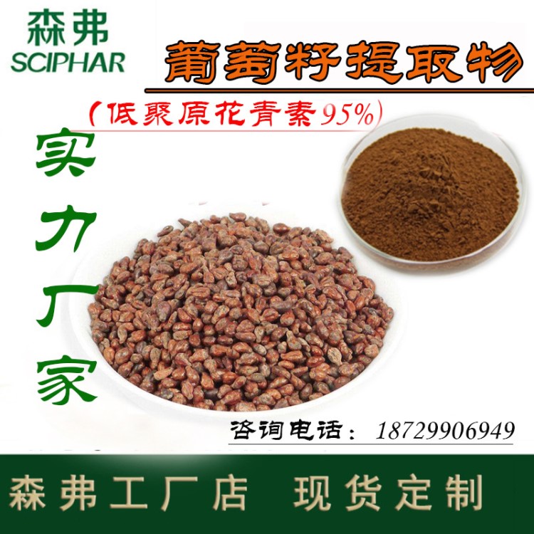 葡萄籽提取物 低聚原花青素95%OPC  廠家直銷源頭廠家葡萄籽粉