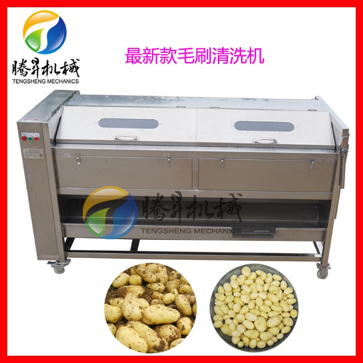 廣東食品機械 廠家直銷農產品加工機械 大產量土豆毛刷去皮機新款