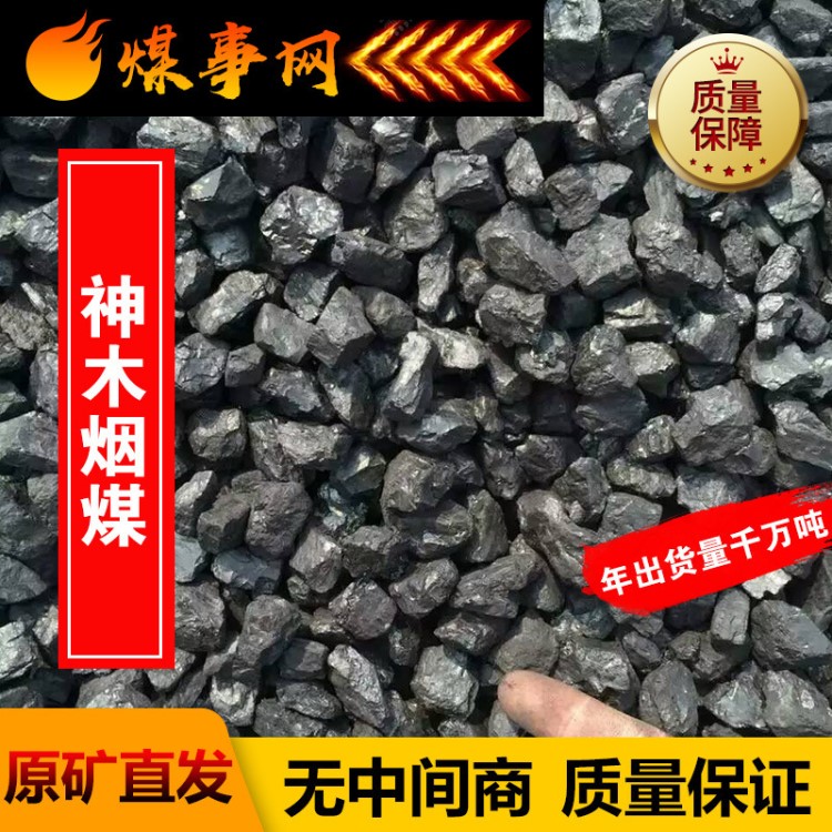 神木52汽化煤     鏈條蒸氣鍋爐用煤  手工立式臥式蒸氣鍋爐用煤