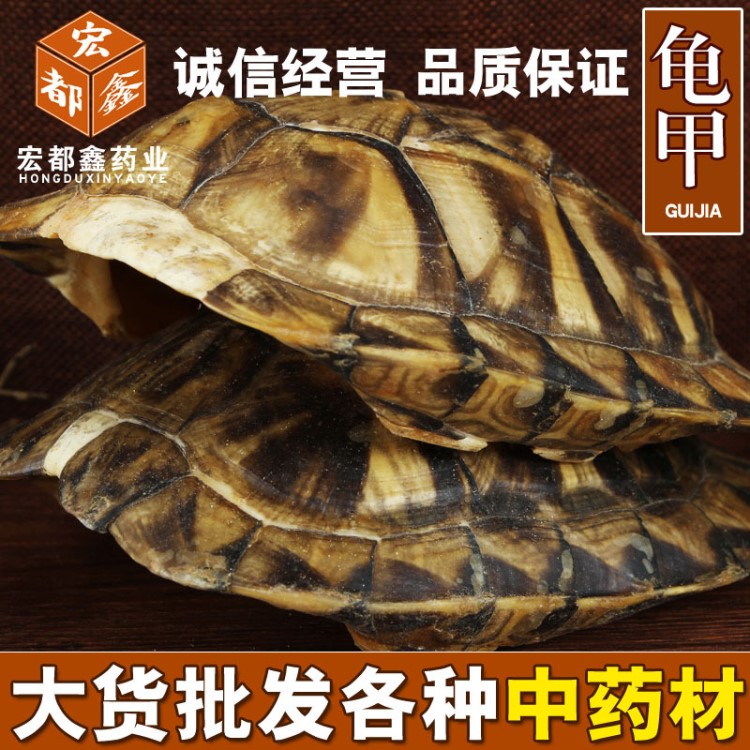 中藥材批發旱龜板龜甲炙龜板醋龜板 品質量大從優