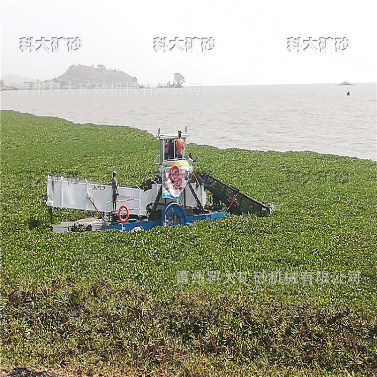 衡阳湘江水葫芦清除机器 全自动水上捞草船 水草收割机