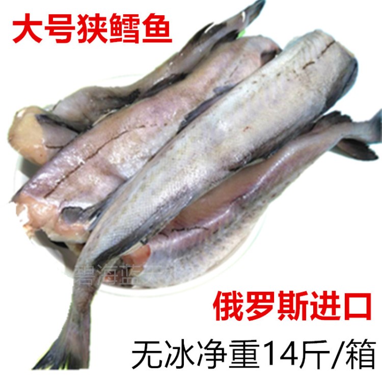 冷凍無(wú)頭魚(yú)狹鱈魚(yú)冷凍海產(chǎn)品明太魚(yú)身柴魚(yú)大棒魚(yú)鮮水產(chǎn) 海鮮批發(fā)