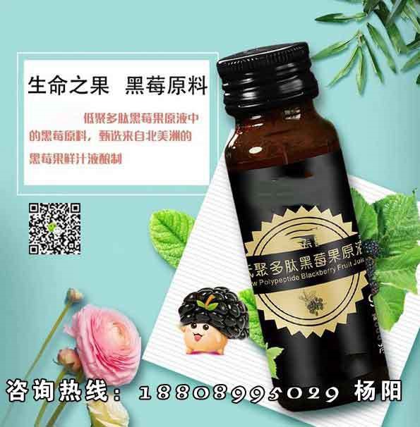 品牌商黑莓復(fù)合果汁飲品代工 果汁飲品代工ODM/OEM