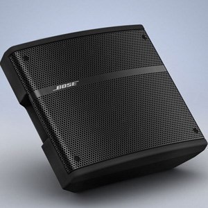 供应BOSE 310M多向返听扬声器/博士音箱/返听音响