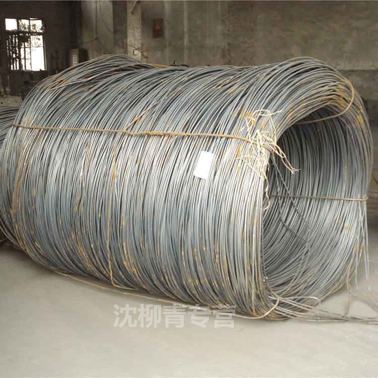 鐵絲 碳素彈簧鋼絲 軸絲電鍍鋅絲 線切割鉬絲 22號鐵絲 產(chǎn)品鐵絲