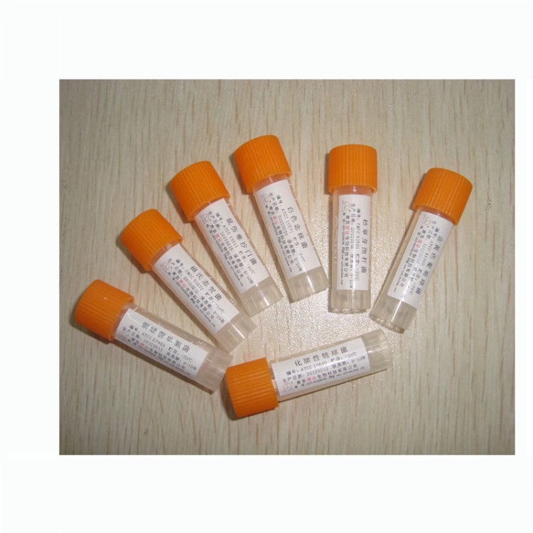 大腸埃希氏菌[ATCC25922] 凍干粉 生產標準指控菌株