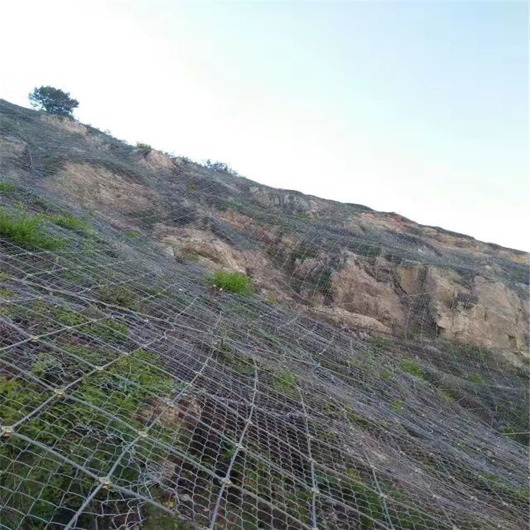 邊坡防護網 公路山體防護網 高速公路自然災害主動護坡網