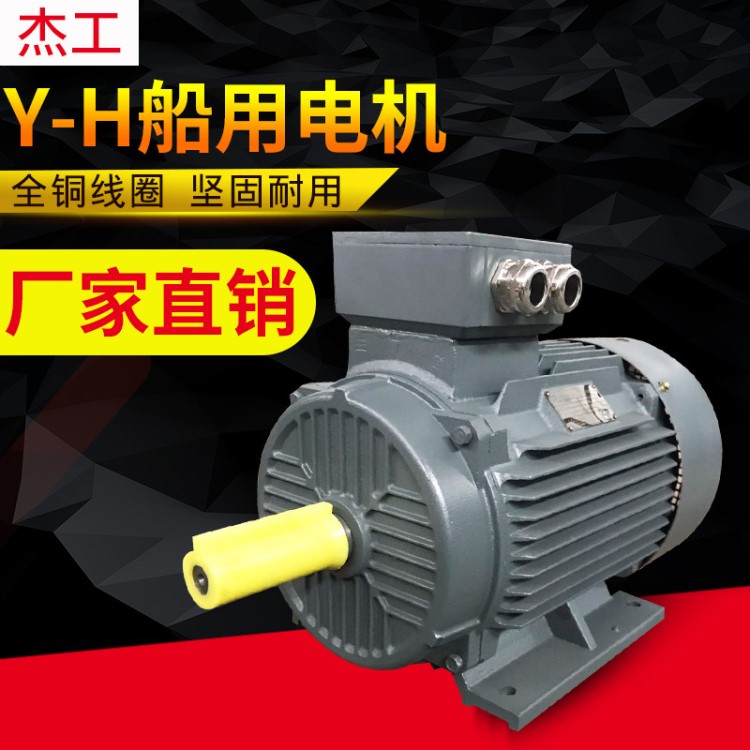 電機(jī)廠家三相異步電動(dòng)機(jī) 大功率船用電機(jī) 機(jī)械設(shè)備臥式交流電機(jī)