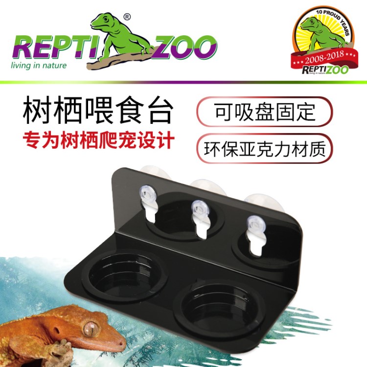 REPTIZOO樹棲喂食臺睫角守宮巨人守宮魔物守宮R屬守宮樹棲爬寵