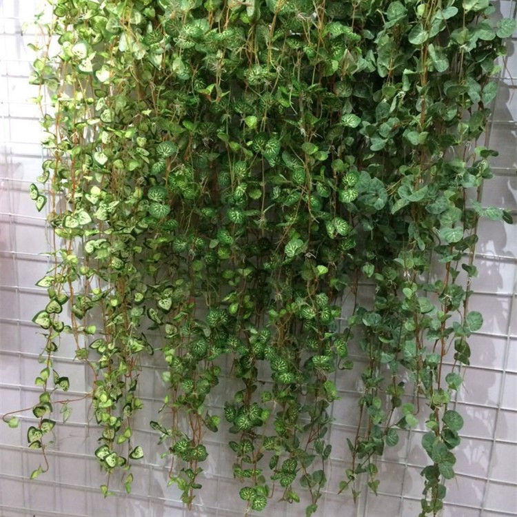 仿真植物墻 壁掛 工程掛藤室內(nèi)植物裝飾墻 道具布置婚慶批發(fā)