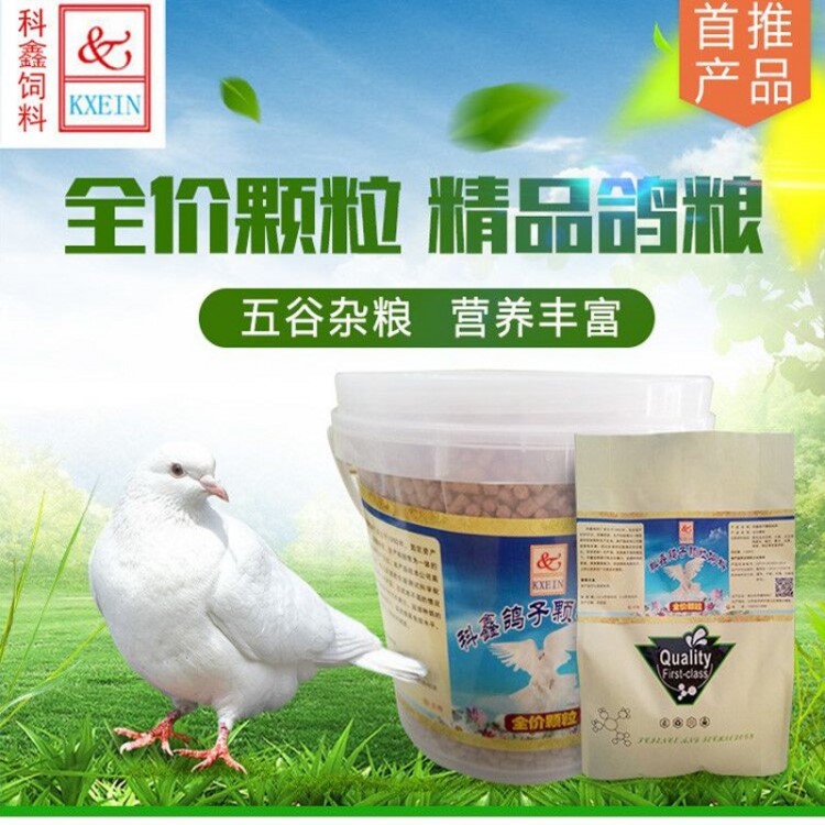 鴿子顆粒飼料種鴿信鴿觀賞鴿幼鴿哺乳鴿鳥食鴿子飼料鴿糧批發(fā)包郵