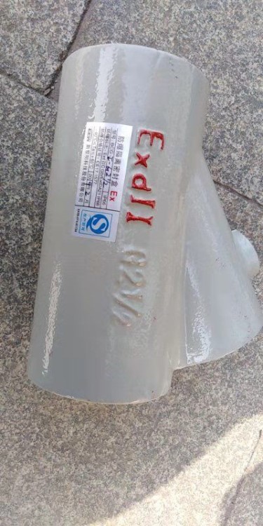 新黎明防爆隔離密封盒BCG-I Y型 BAG隔離盒防火盒6分G3/4 DN20 15