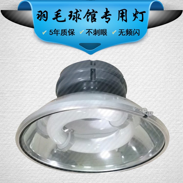 厂家直销室内羽毛球场灯羽毛球馆专用灯200W室内篮球场馆专用照明