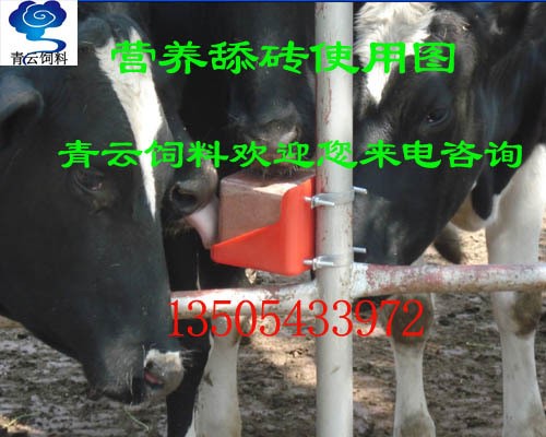 【奶肉牛专用营养舔砖】厂家供应价格优惠牛羊营养舔砖