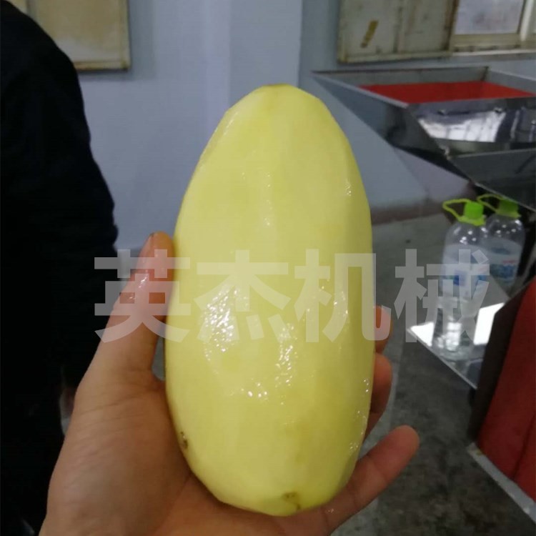 自動(dòng)土豆地瓜削皮設(shè)備 罐頭食品加工廠配套芒果奇異果去皮機(jī)廠家