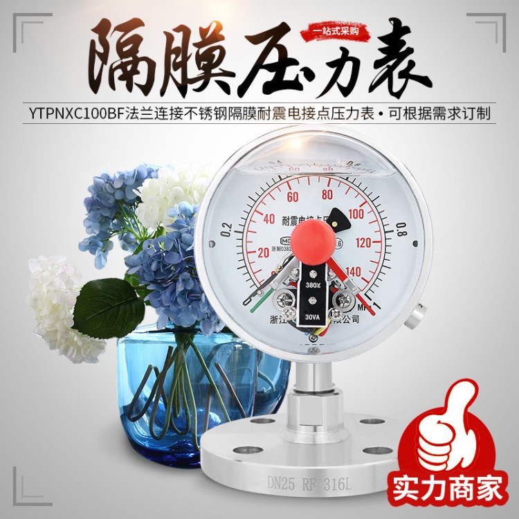 法蘭連接電接點(diǎn)壓力表YNXCTP100BF不銹鋼耐震膜片316L可定制