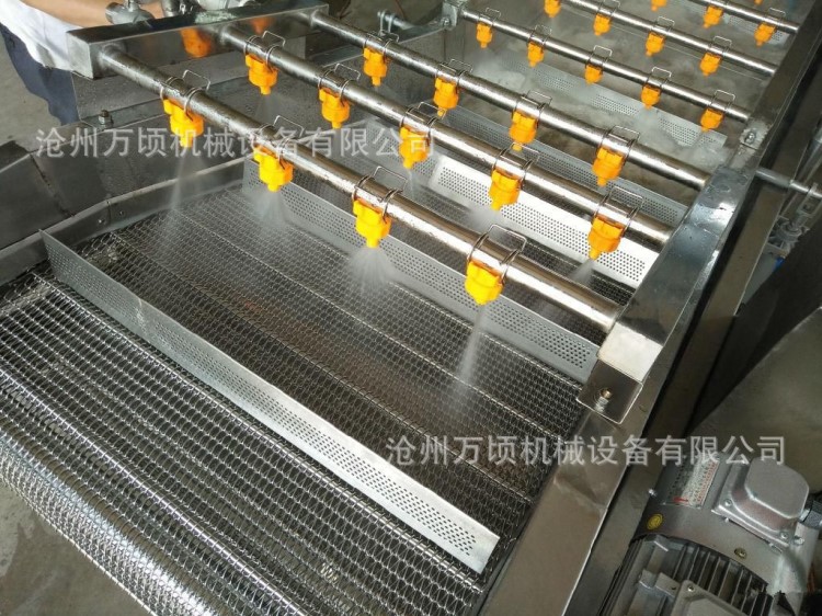 榴蓮洗菜機小西紅柿清洗分選機土豆洗果機