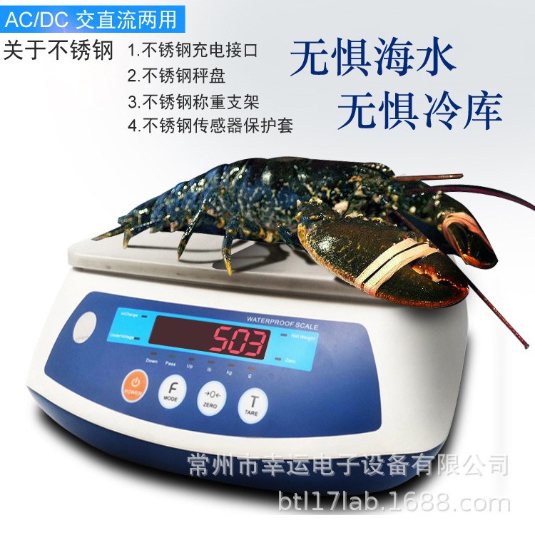 工廠批發(fā)直銷防水秤 防水臺秤 防水桌稱防水3KG-30KG 1g0.1g