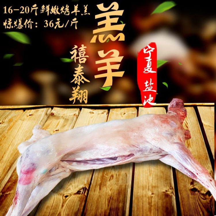 羊肉 羊羔子 寧夏鹽池灘羊肉 羊羔肉 烤全羊 生鮮整羊羔肉批發(fā)