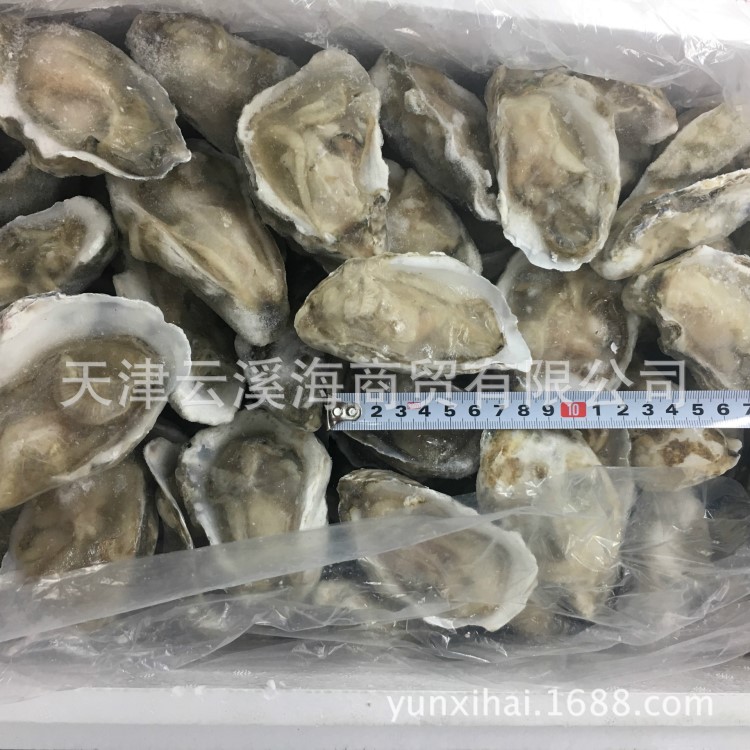 冷凍生蠔 牡蠣 燒烤用 餐飲生蠔  9kg 一件