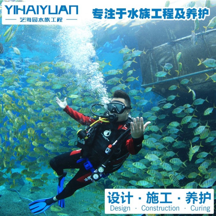 魚缸維護(hù)公司|上海魚缸維護(hù) 魚缸維護(hù) 水族箱維護(hù)公司 魚缸清洗