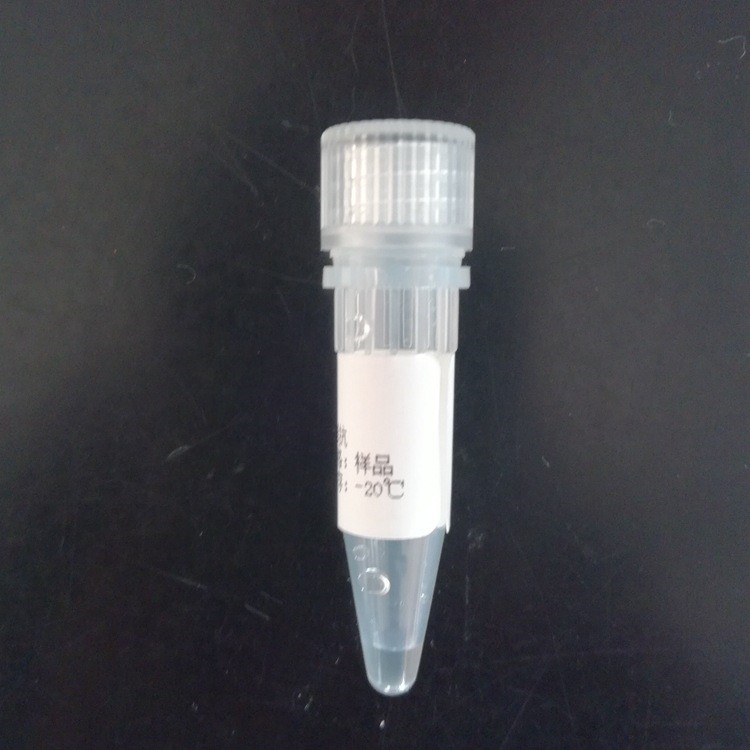 沙丁胺醇(salbutamol,SAL)單克隆抗體 沙丁胺醇