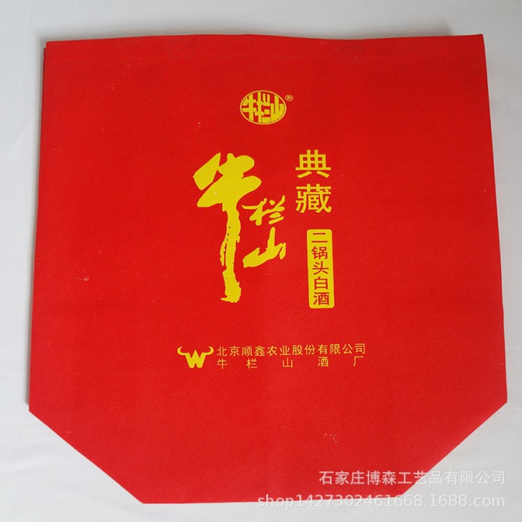 廠家直銷 無(wú)紡布袋子 各類袋 可免費(fèi)設(shè)計(jì)logo 一次成型無(wú)紡布袋子