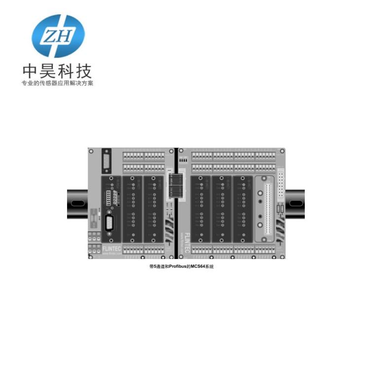 FLINTEC富林泰克 MCS-64 多通道称重系统