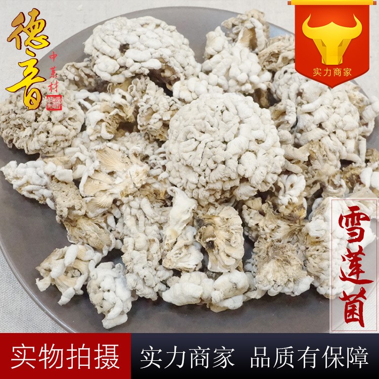 雪蓮菌 選貨 產(chǎn)地云南 1000g 中藥材批發(fā) 規(guī)格