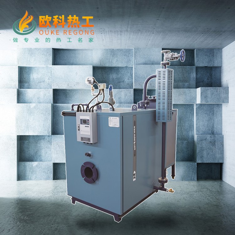 供應100kg蒸汽發生器可燃油燃氣工業蒸煮夾層鍋用小于30L容水