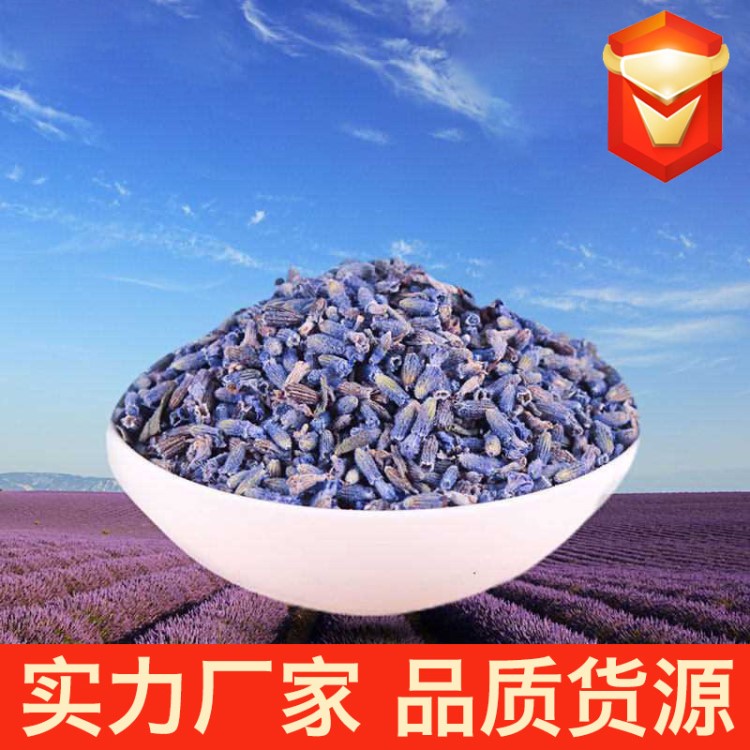 批发新疆伊犁65团产级有机天然薰衣草干花