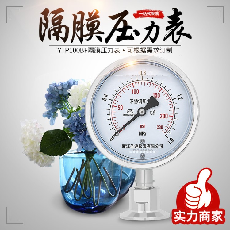 衛生型隔膜壓力表YTP100BF 卡盤連接38 50.5 64卡箍式食品快裝