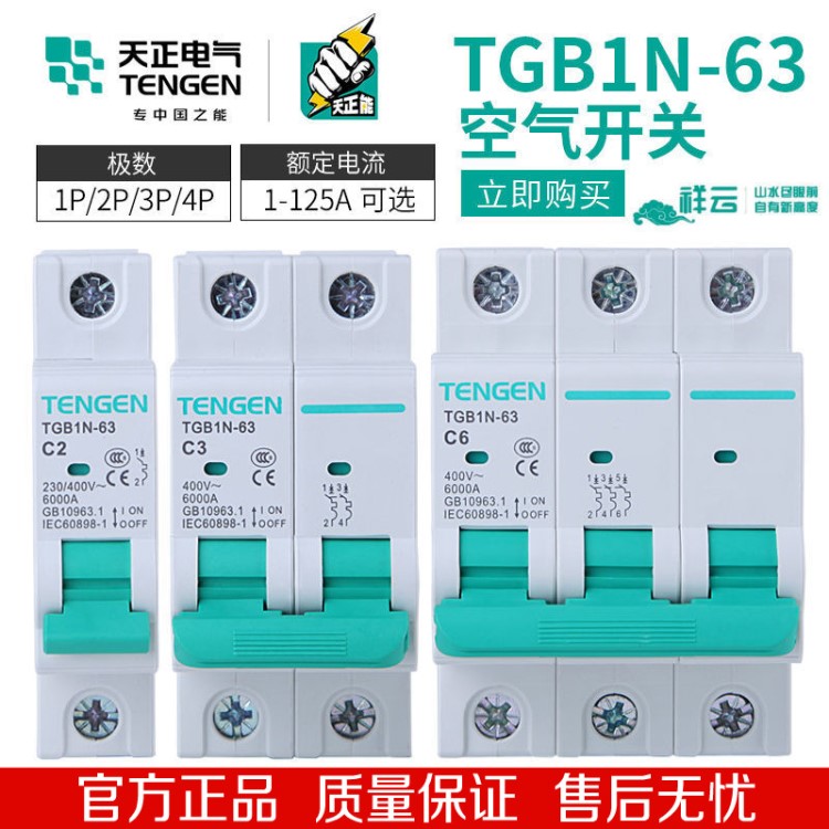 天正 TGB1N-63空氣開(kāi)關(guān) DZ47小型斷路器 C型 1P 2P 3P 4P 32A 63A