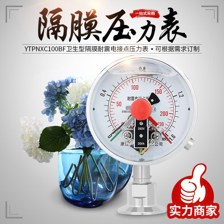 衛(wèi)生型隔膜電接點(diǎn)壓力表YNXCTP100BF藥廠食品水處理專用壓力控制