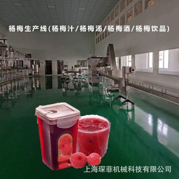 琛菲杨梅汤果酒汁饮料机械加工生产线PET玻璃瓶易拉罐果酱干果脯