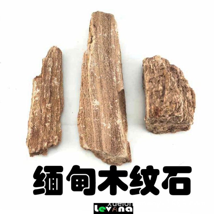 緬甸黃金木紋石 木化石 生態(tài)缸水陸缸黃色造景石 盆景花卉景觀石