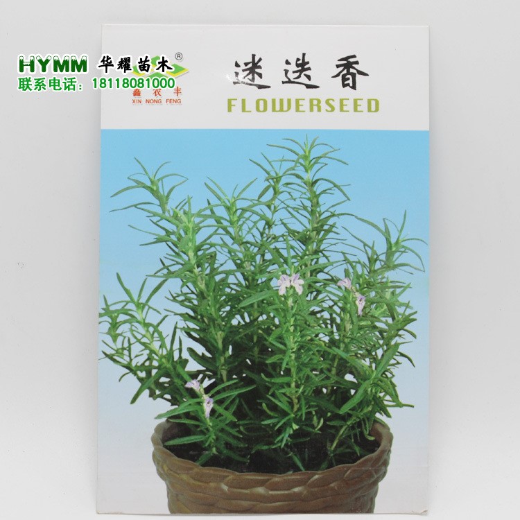 迷迭香種子 可食用西餐糕點(diǎn)香草驅(qū)蚊植物提神醒腦香草種子