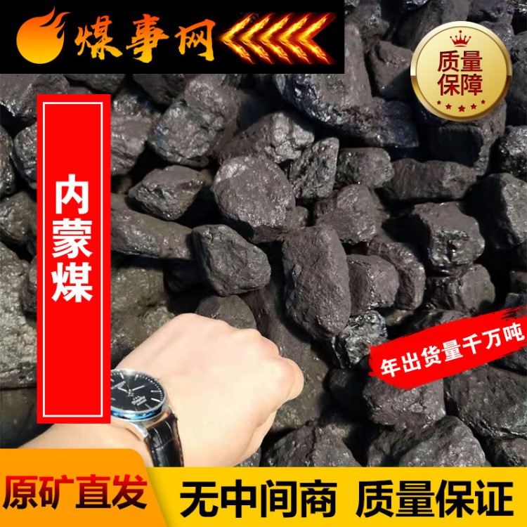 內蒙古一精煤環保煤高揮發鏈條蒸汽鍋爐取暖用煤38塊49塊中塊