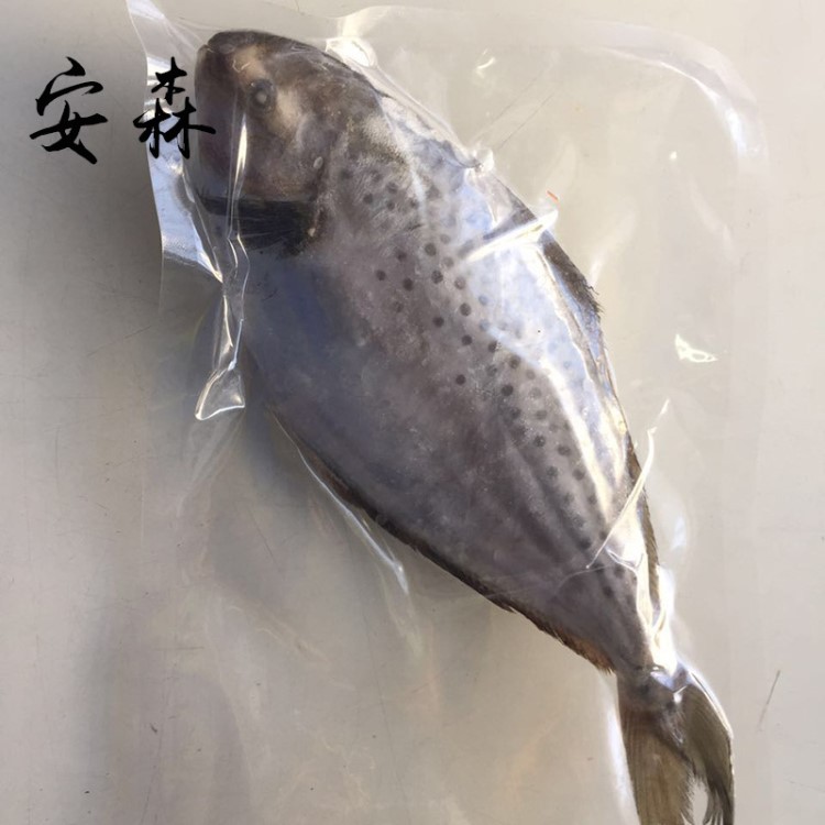 冷凍雪花鯧魚保稅區(qū)直發(fā)深海野生阿根廷海捕雪花鯧 鯧魚 斑點鯧