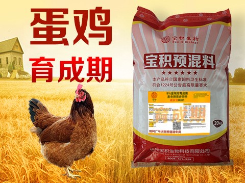 蛋雞育成期預(yù)混料  蛋雞青年期飼料 提高繁殖性能 延長(zhǎng)產(chǎn)蛋期