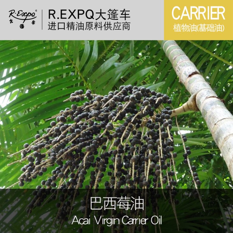 巴西莓油  Acai Virgin Carrier Oil  巴西植物油基礎(chǔ)油 批發(fā)