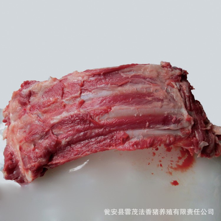 藏香猪排骨冷鲜肉排骨 热鲜肉剔猪排 产地直供藏香猪肉