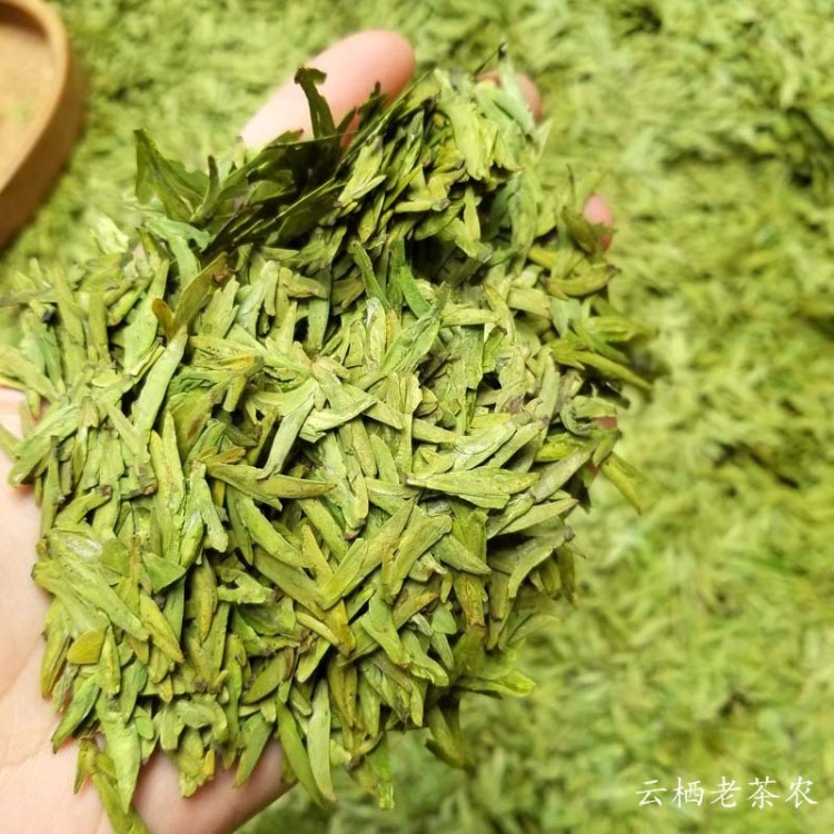 2019西湖龍井新茶上市富陽龍三高山龍井茶濃香型茶農(nóng)直銷貨源批發(fā)