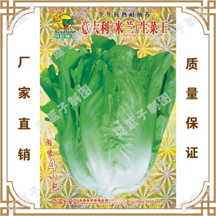 蔬菜種子四季 陽臺(tái) 意大利（米蘭）生菜 蔬菜 有機(jī)綠色