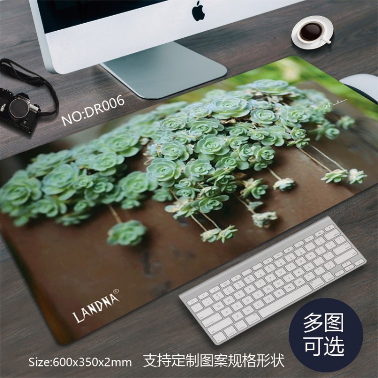 LANDNA風靡日韓超大多肉植物桌墊鼠標墊 肉友推薦桌墊DR006