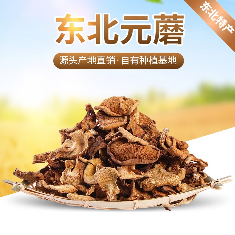 東北黑龍江特產(chǎn)  元蘑干貨 食用菌類散貨 廠家批發(fā) 500g