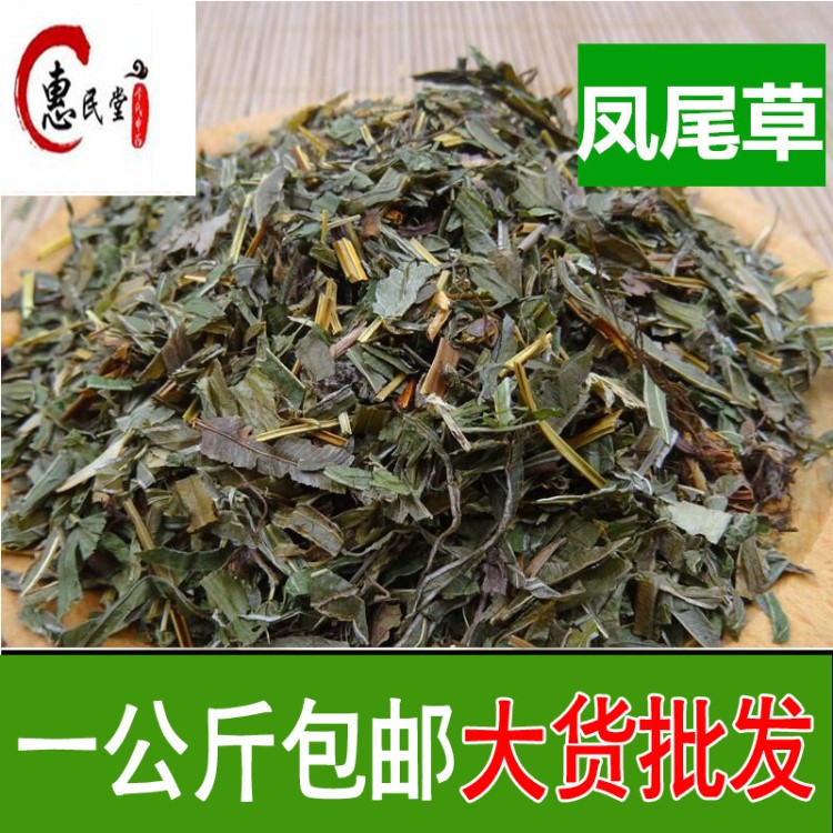 中草藥 鳳尾草 鳳凰草一公斤包郵  食用農(nóng)產(chǎn)品初加工