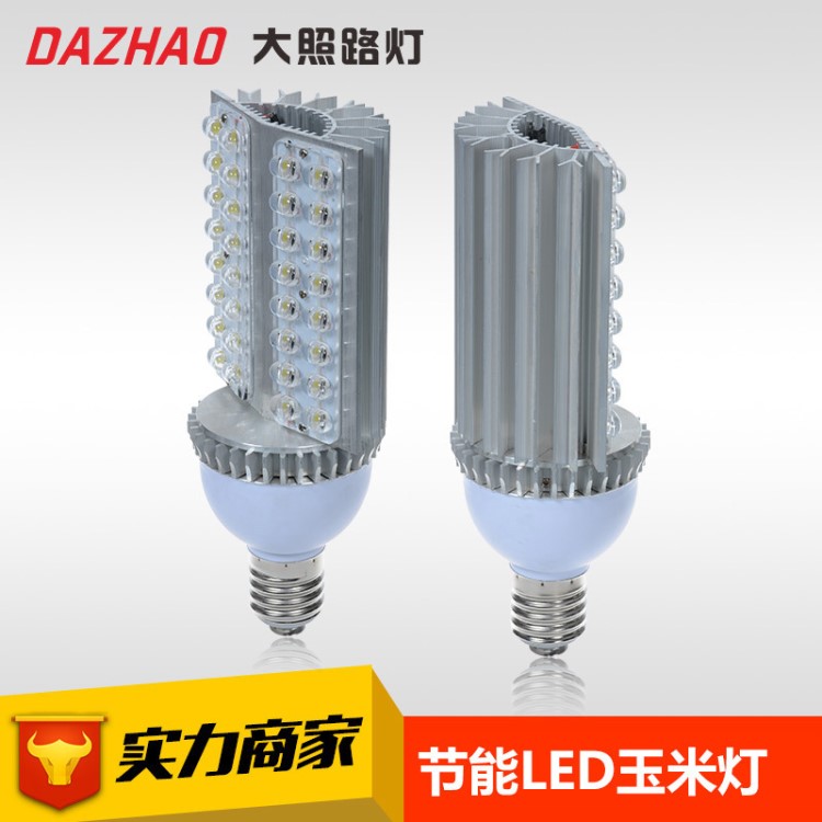 爆款厂家直销LED玉米灯60W 小区G9 led电光源 庭院道路照明灯