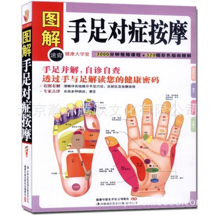 圖解手足對癥按摩手診手療足療穴位經(jīng)絡(luò)常見病防病治病中醫(yī)養(yǎng)生書